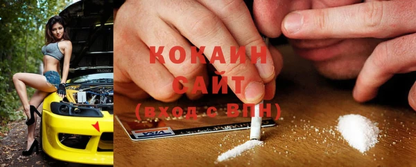 твердый Бронницы