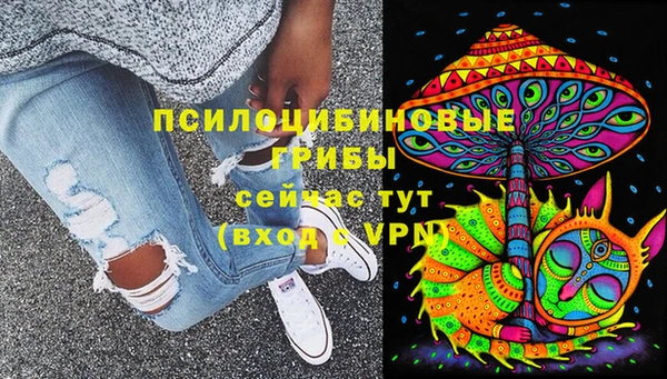 твердый Бронницы