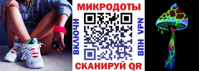 Псилоцибиновые грибы Psilocybe  Завитинск 